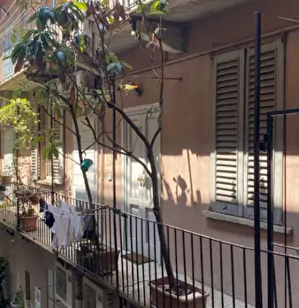 Foto annuncio 10
