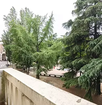 Foto annuncio 14