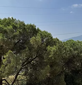 Foto annuncio 13