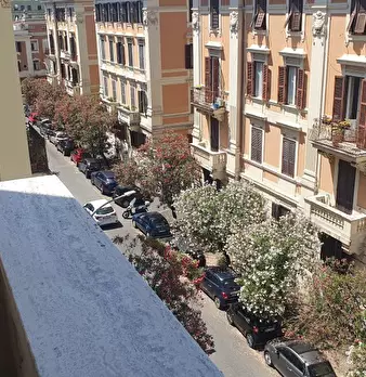 Foto annuncio 6