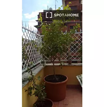 Foto annuncio 19