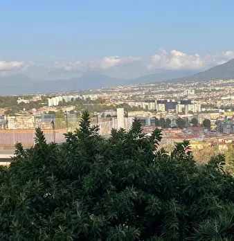 Foto annuncio 10
