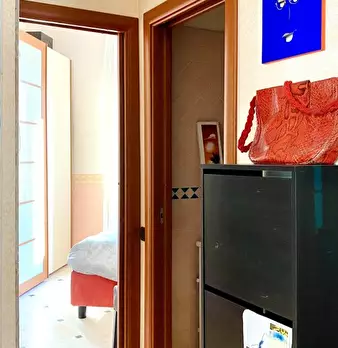 Foto annuncio 10