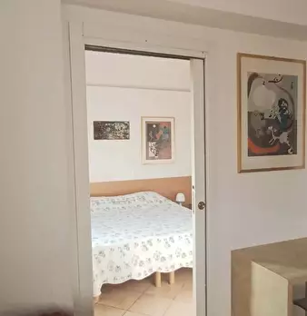Foto annuncio 7