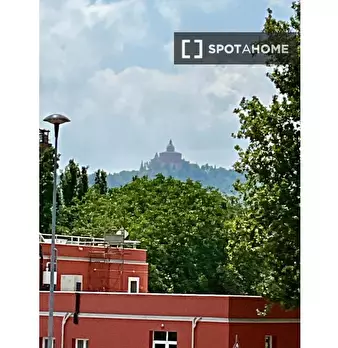 Foto annuncio 7