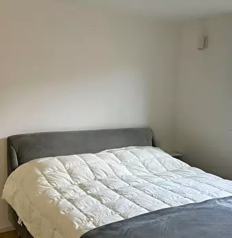 Foto annuncio 11