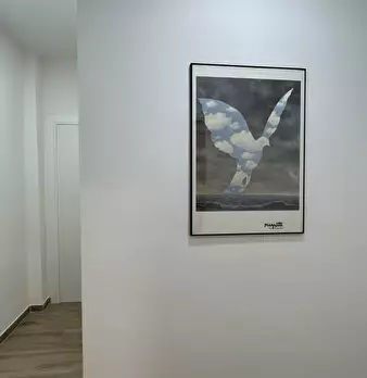 Foto annuncio 12