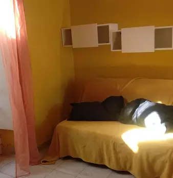 Foto annuncio 6