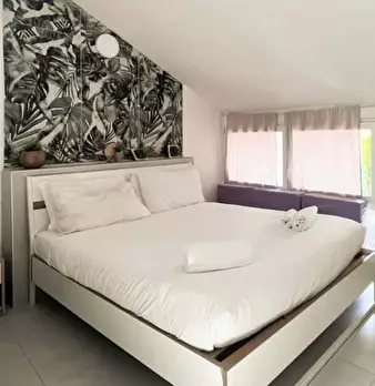 Foto annuncio 11