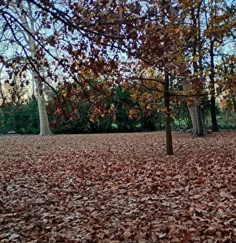 Foto annuncio 9