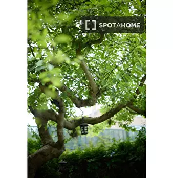 Foto annuncio 19