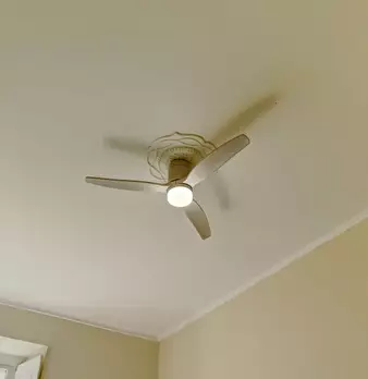 Foto annuncio 14