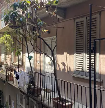 Foto annuncio 7