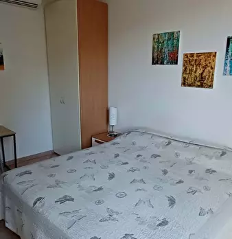 Foto annuncio 11