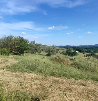 Foto annuncio 5