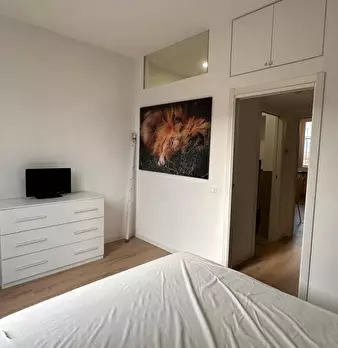 Foto annuncio 7