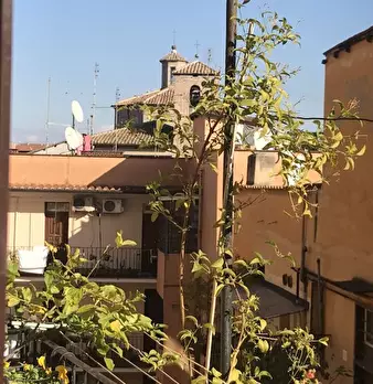 Foto annuncio 12