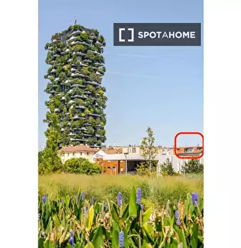 Foto annuncio 17