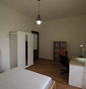 Foto annuncio 5