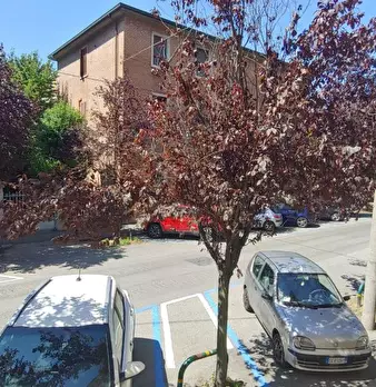 Foto annuncio 18