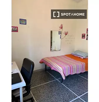 Foto annuncio 12