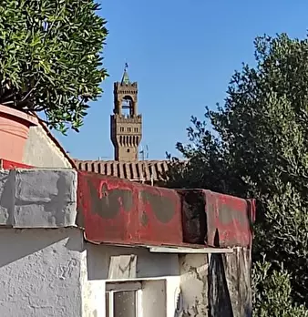 Foto annuncio 19