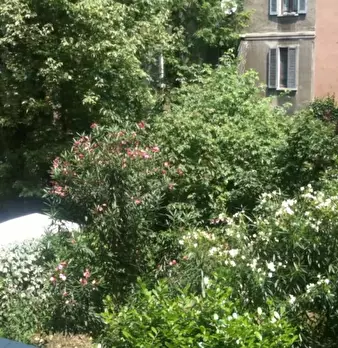 Foto annuncio 7