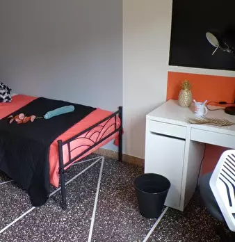Foto annuncio 6