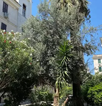 Foto annuncio 2