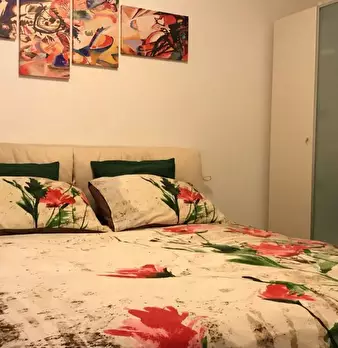 Foto annuncio 12