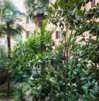 Foto annuncio 5