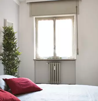 Foto annuncio 11