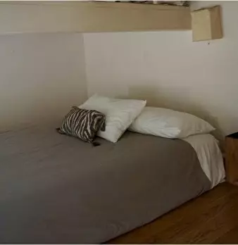 Foto annuncio 6