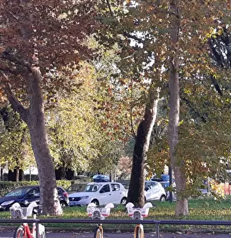 Foto annuncio 19
