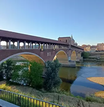 Foto annuncio 5