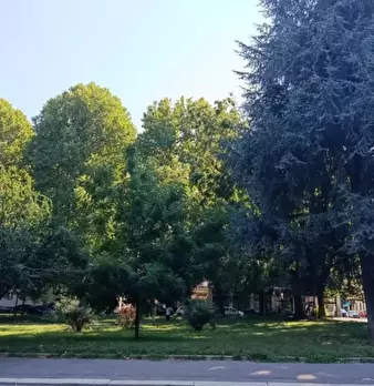 Foto annuncio 2