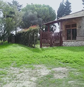 Foto annuncio 9