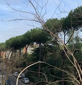 Foto annuncio 4
