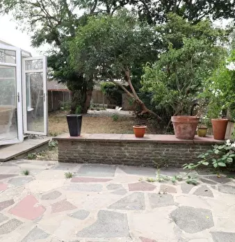 Foto annuncio 5