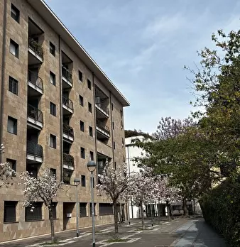 Foto annuncio 19