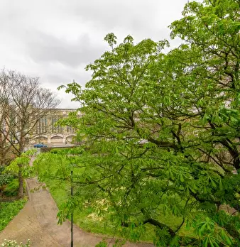 Foto annuncio 7