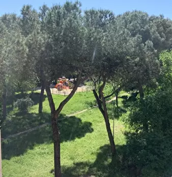 Foto annuncio 7