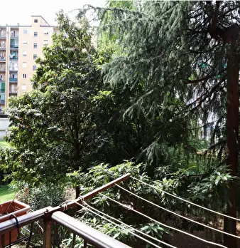Foto annuncio 13