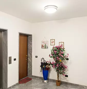 Foto annuncio 16