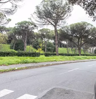 Foto annuncio 8