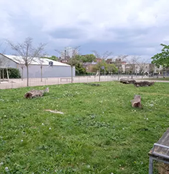 Foto annuncio 12