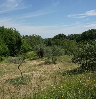 Foto annuncio 6