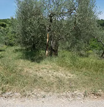 Foto annuncio 8