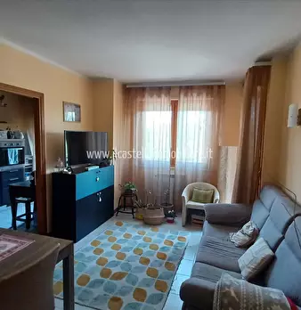 Foto annuncio 7