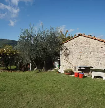 Foto annuncio 1